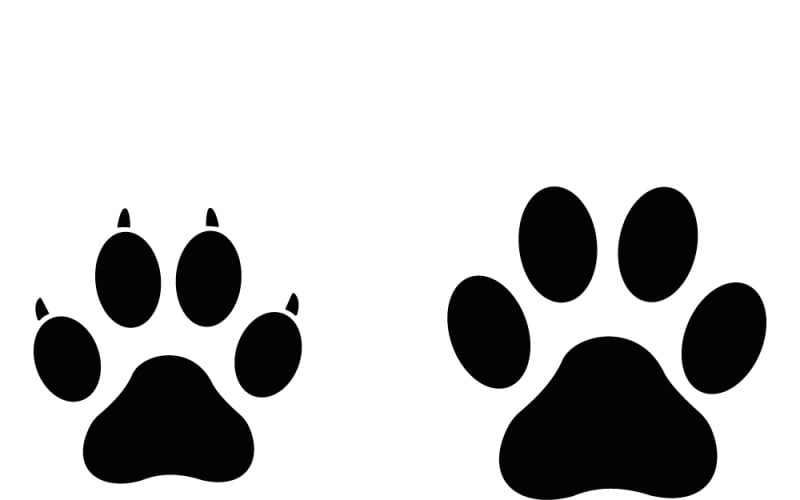 Icona di stile del logo affiancato con impronte di zampe di cane e gatto per il tema degli animali domestici