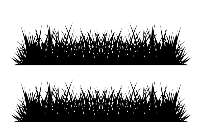 三排郁郁葱葱的绿草勾勒出边界的轮廓