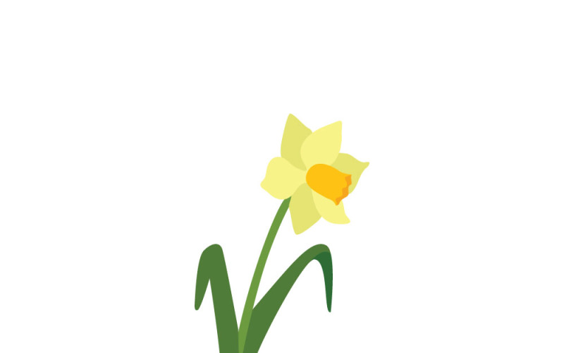 Illustrazione di un fiore di narciso giallo brillante