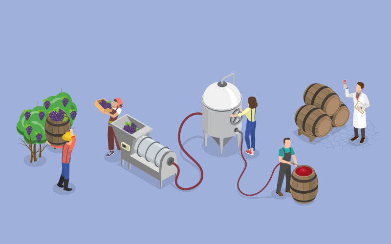 Proceso de producción de vino, operaciones de la bodega