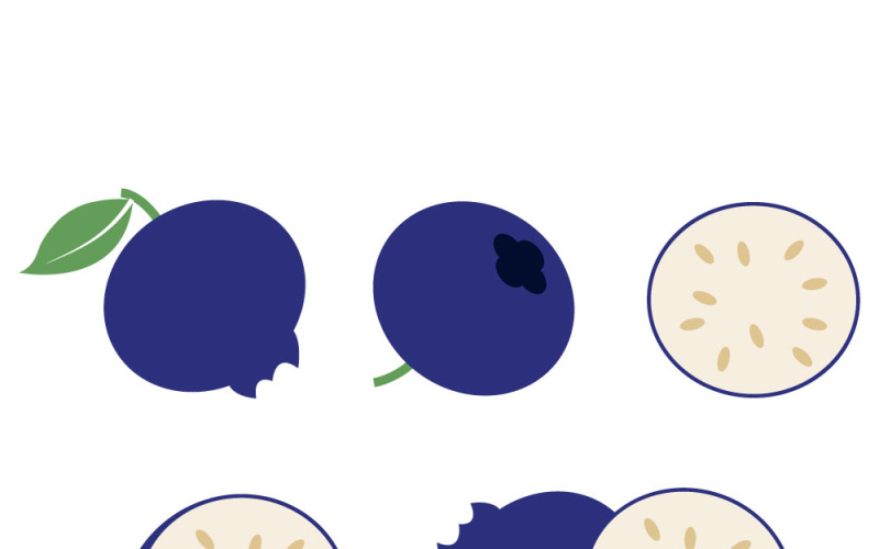 Illustrazione dettagliata di mirtilli con semi visibili, arte vettoriale