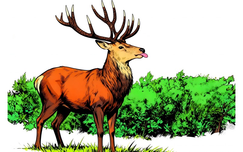 Illustrazione di un cervo in piedi sul campo