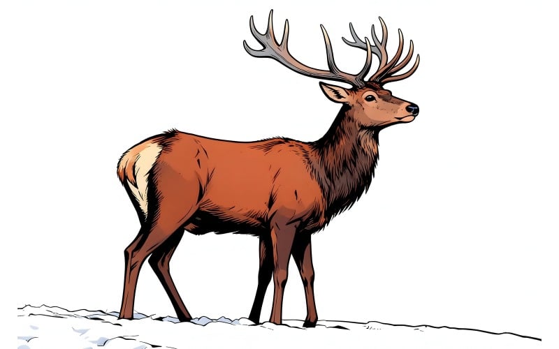 Illustrazione della foresta di cervi rossi