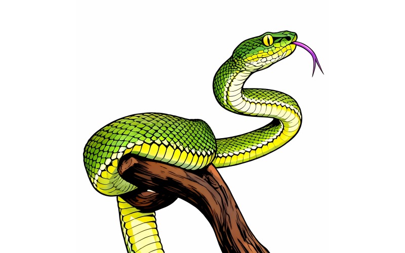 Prachtige illustratie van een groene groefkopadder