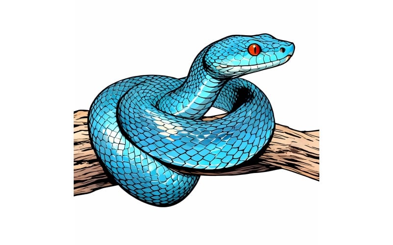 Primo piano del serpente vipera blu, faccia, testa, serpente vipera blu Insularis 1 Illustrazione
