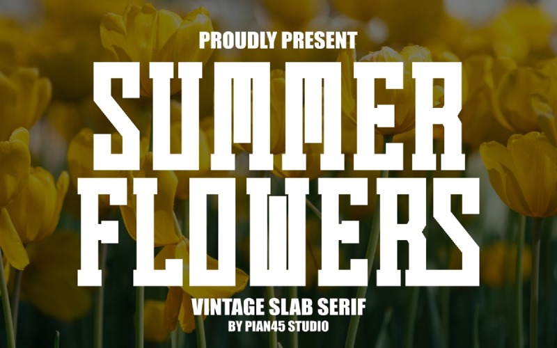 Sommarblommor - Vintage Slab Serif