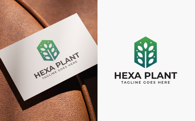 Hexa växtlogotypdesignmall