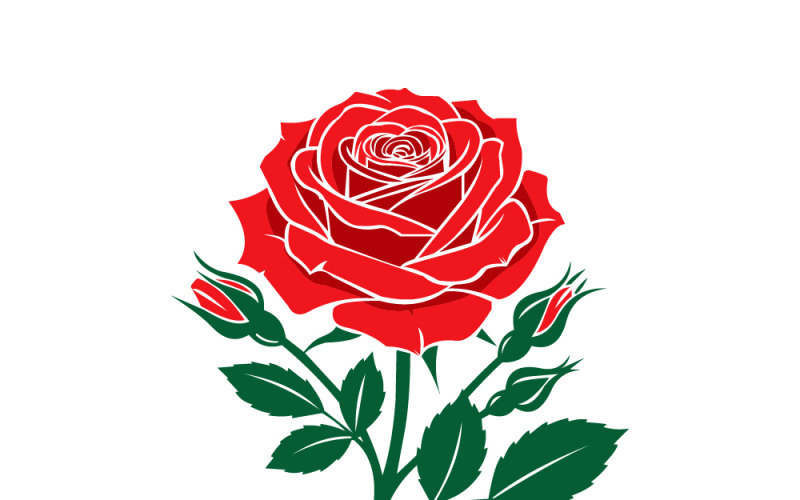 Röd ros vektor illustration - romantisk blommig blomning med knoppar