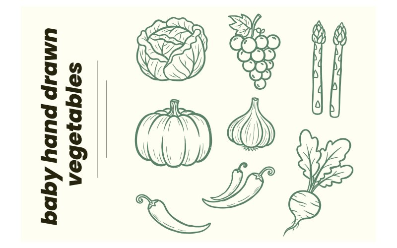 Vintage linjekonst illustrationer av pumpa, kål, vitlök och chilipeppar.