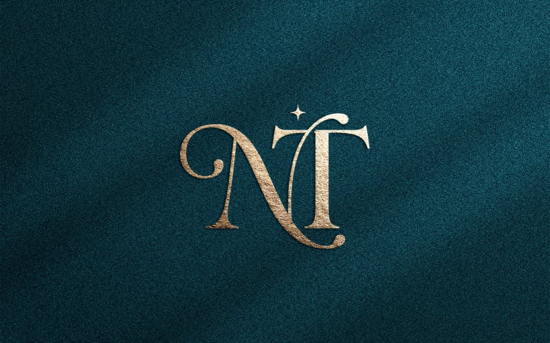 Elegant NT lyxig monogramlogotypdesign