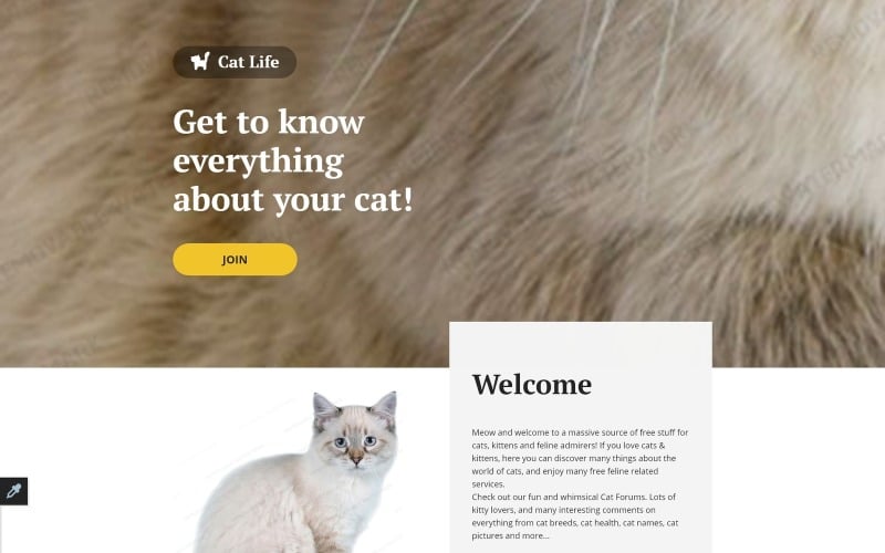 Plantilla de página de destino receptiva para gatos