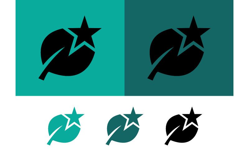 Logo étoile et feuille bicolore.