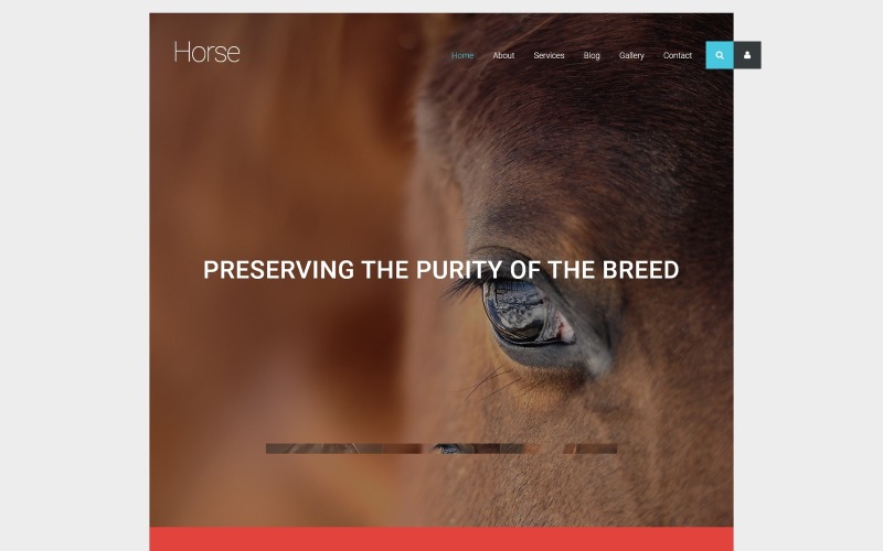 шаблон horse joomla