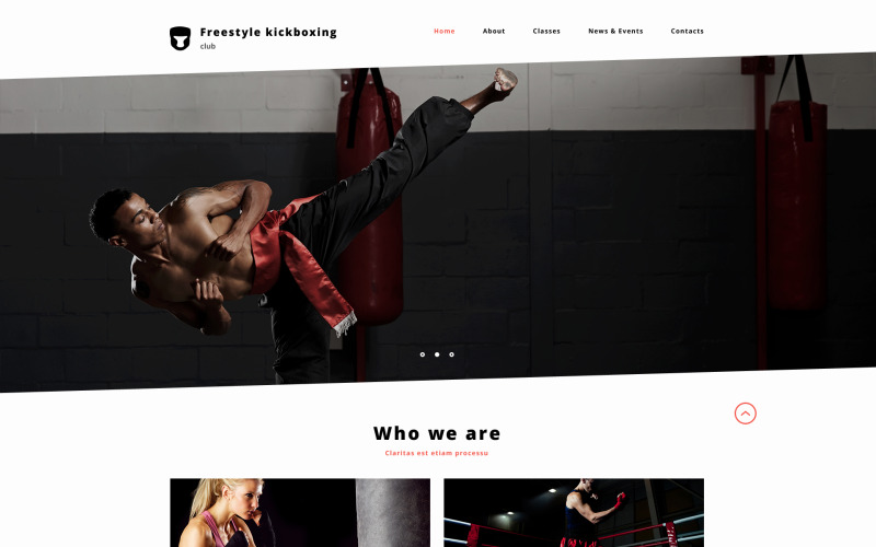 Responsieve websitesjabloon voor boksen