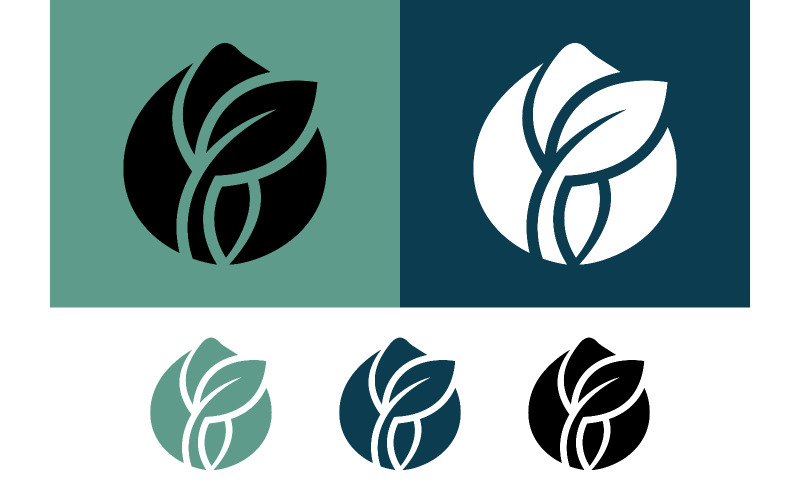 Conception de logo avec des feuilles et des graines sur fonds colorés.