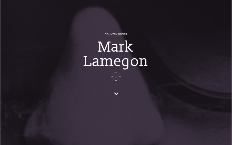 отзывчивый шаблон целевой страницы singer