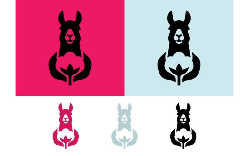 Muso di lama e cotone su sfondo rosa e azzurro.