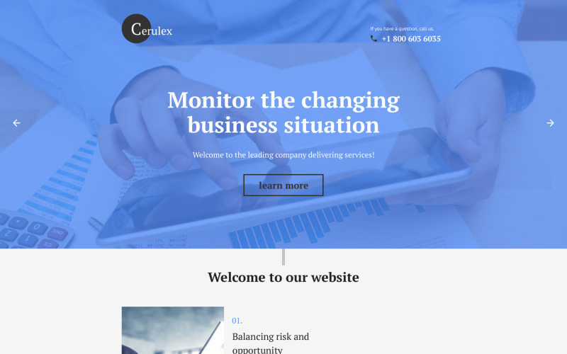 шаблон целевой страницы cerulex