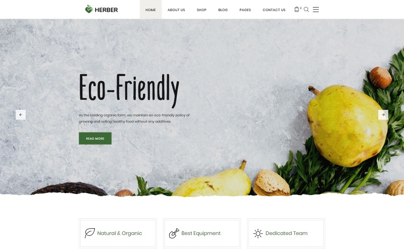 Herber - Plantilla precisa para sitio web de tienda en línea de alimentos orgánicos