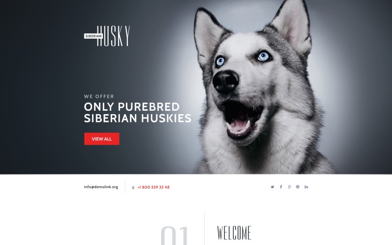 Šablona vstupní stránky pro psa