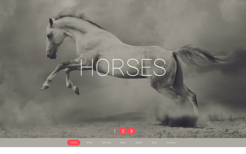 Horse Moto CMS 3模板