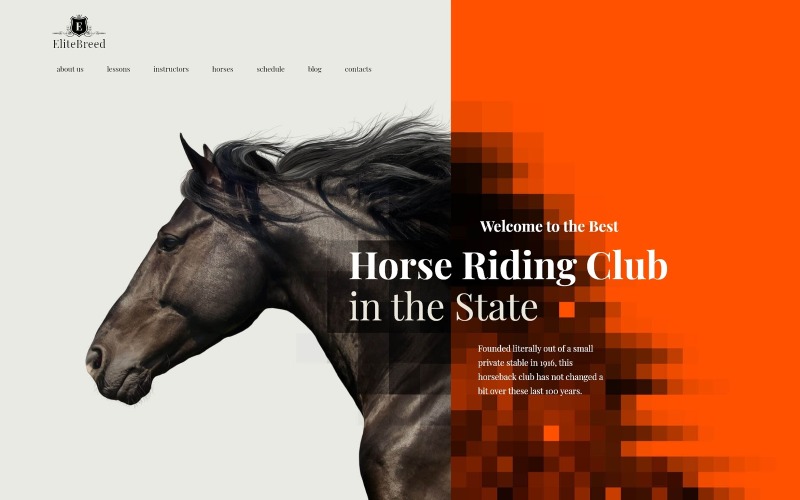 Elite Breed - Tema WordPress per club di equitazione e equitazione