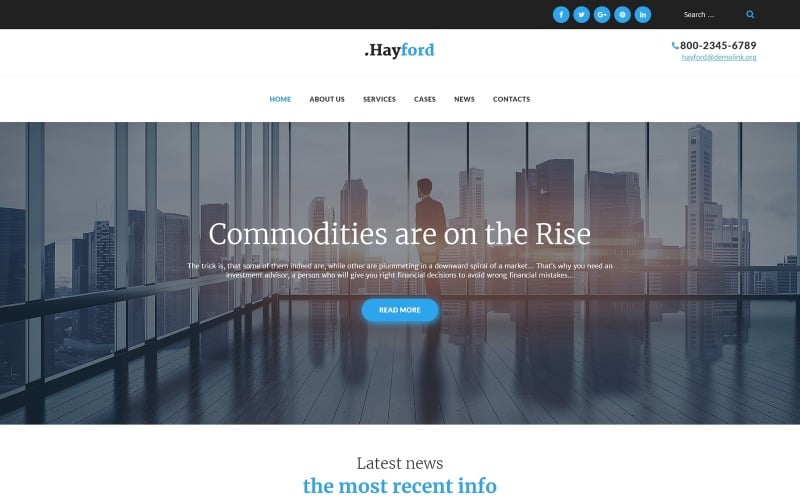 Hayford - Tema WordPress responsivo para serviços de consultoria de investimento