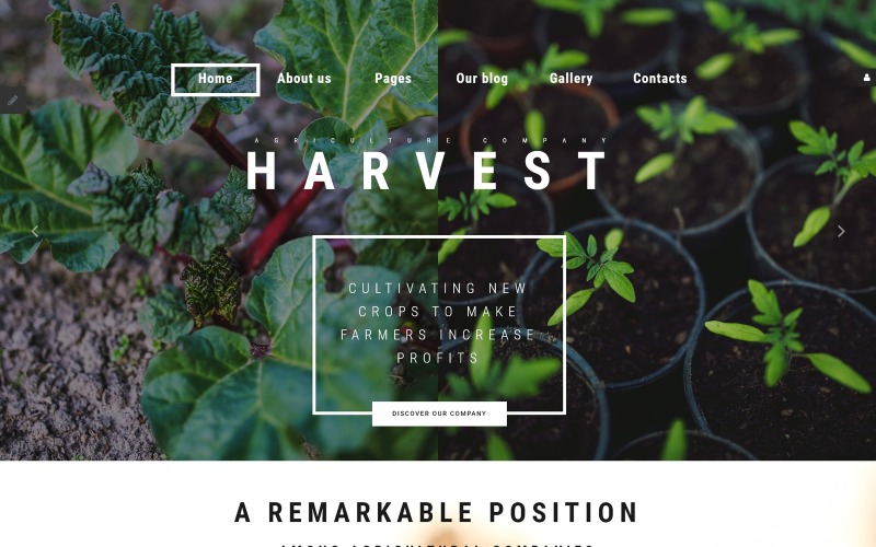 Harvest - Empresa de agricultura Joomla Template