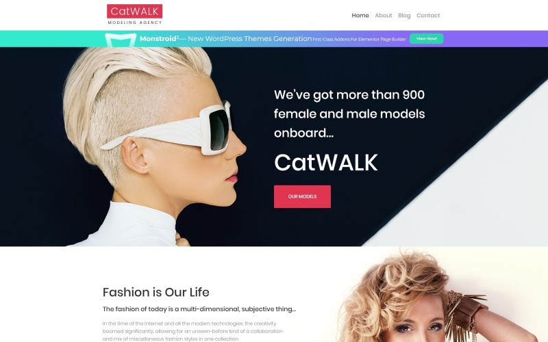 Catwalk - Responsywny motyw WordPress dla agencji modelek