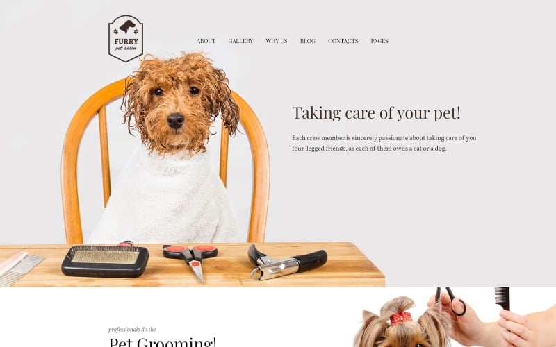 a pet grooming