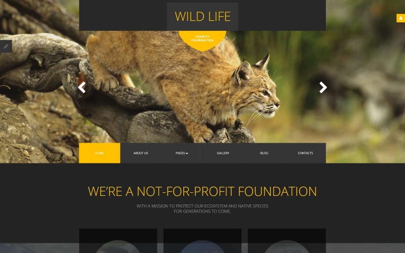 Адаптивный шаблон Joomla Wild Life