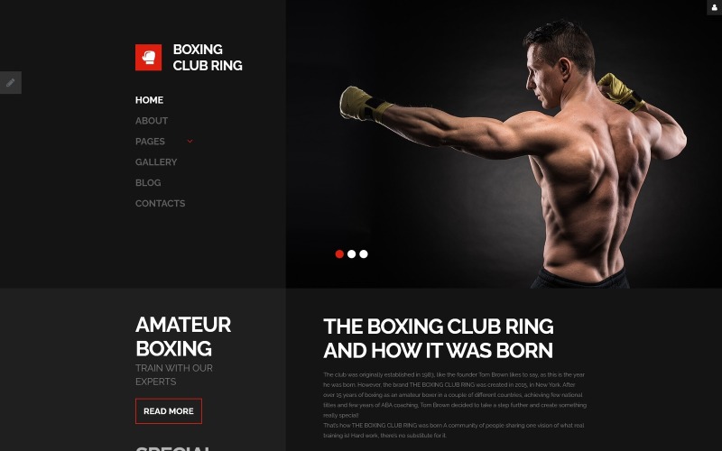 Modelo de Joomla responsivo para boxing