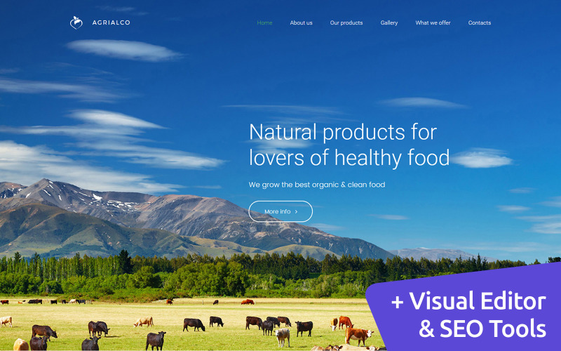 премиум шаблон moto cms 3