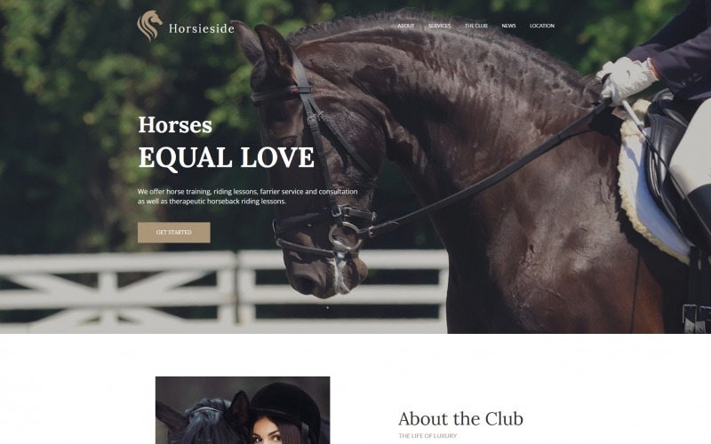 html шаблон horse moto cms