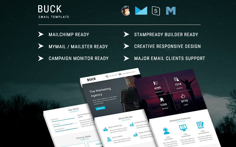 BUCK - Responsive Email Template Newsletter Template