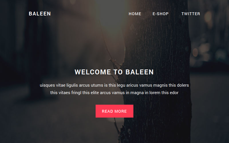 Baleen - Modello di newsletter modello di email reattivo