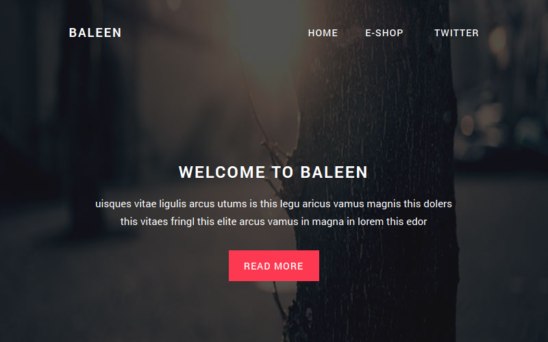 Baleen - Responsieve e-mailsjabloon Nieuwsbriefsjabloon