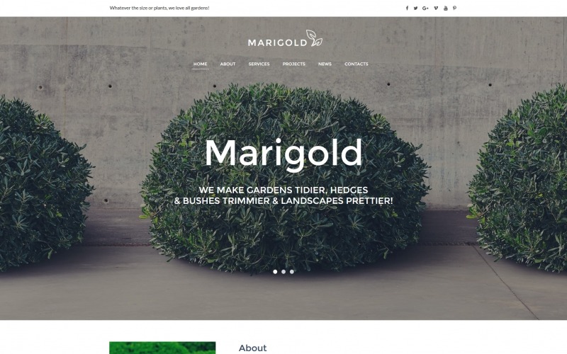внешний дизайн moto cms html шаблон