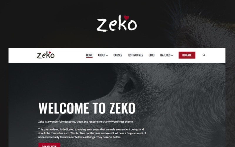 Zeko - Благодійність та некомерційна діяльність - Тема WordPress