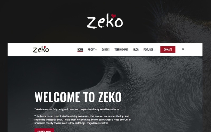 Zeko - Organizacja charytatywna i non-profit - motyw WordPress