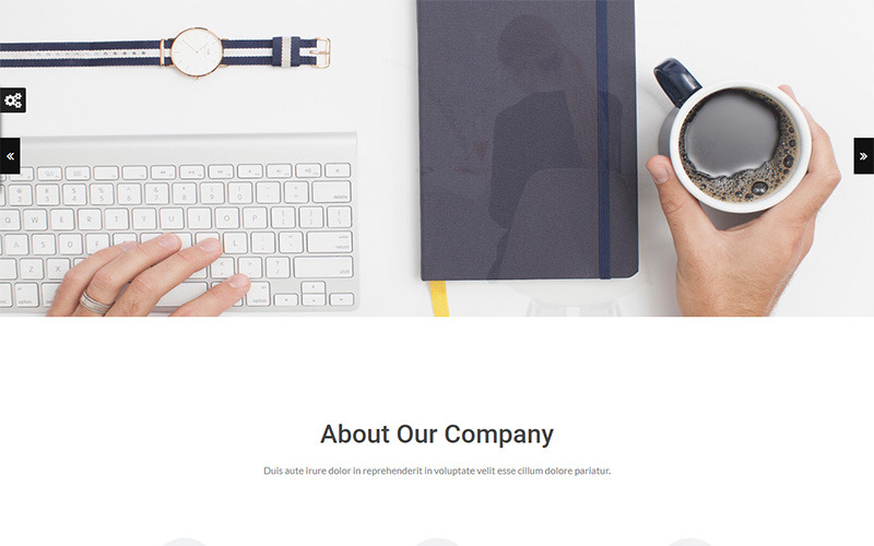 универсальный шаблон сайта luisa