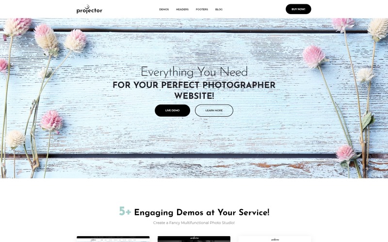 Projektor - Fotograf Portfolio Multihome WordPress Theme