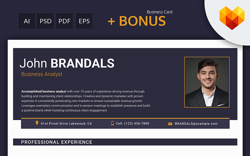 John Brandals - Modello di curriculum per analista aziendale e consulente finanziario