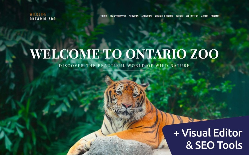 野生动物-Zoo Premium Moto CMS 3模板