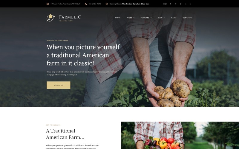 Farmelio - responsywny motyw WordPress na farmie