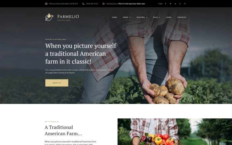 Farmelio - Tema WordPress Responsivo Farm