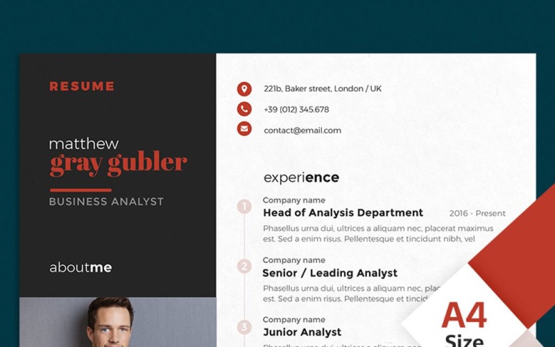 Plantilla de curriculum vitae de analista de negocios de Matthew Gray Gubler