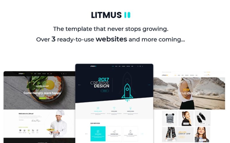 Litmus - Kreativ mall för flera webbplatser