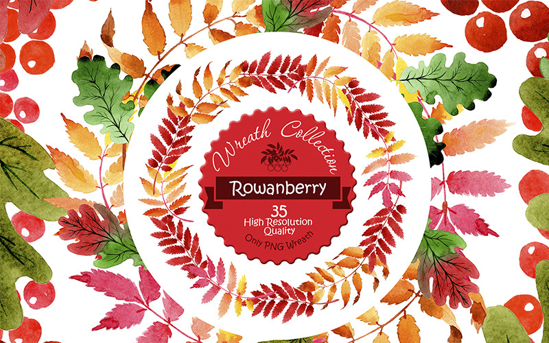 Download Бандл иллюстраций цветочных венков PNG / Wreath Collection PNG Watercolor Set - Illustration - Иллюстрация на тему графика watercolor illustration rowanberry drawing background textile colorful fashion drawn vintage paint leaf plant wreath seasonal deciduous foliage flower sprout stem