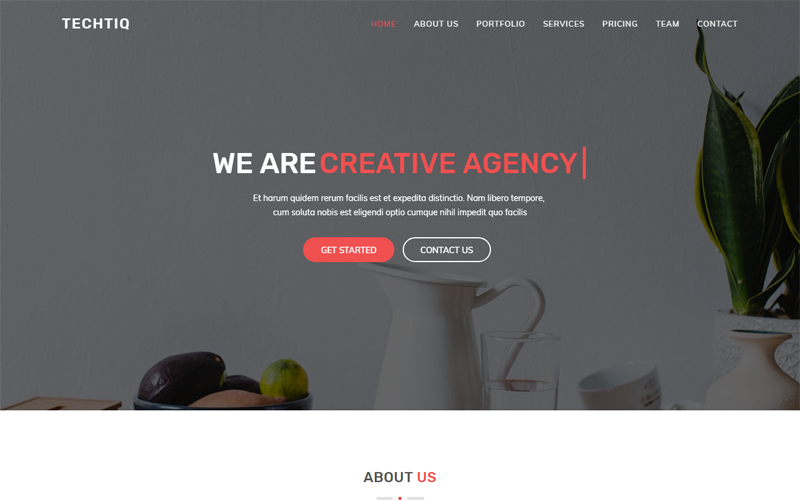 адаптивный универсальный шаблон сайта